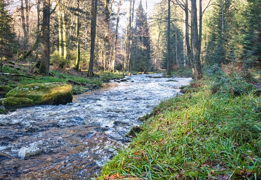 Eyachmühle - Bad Wildbad - Wasserwegle